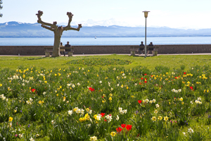 300 Bodensee 1